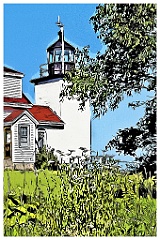 Flowers by Fort Point Lighthouse Tower - Digital Painting